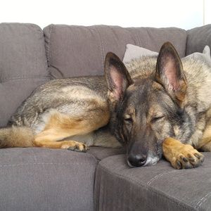 Meet your Posher, Traci